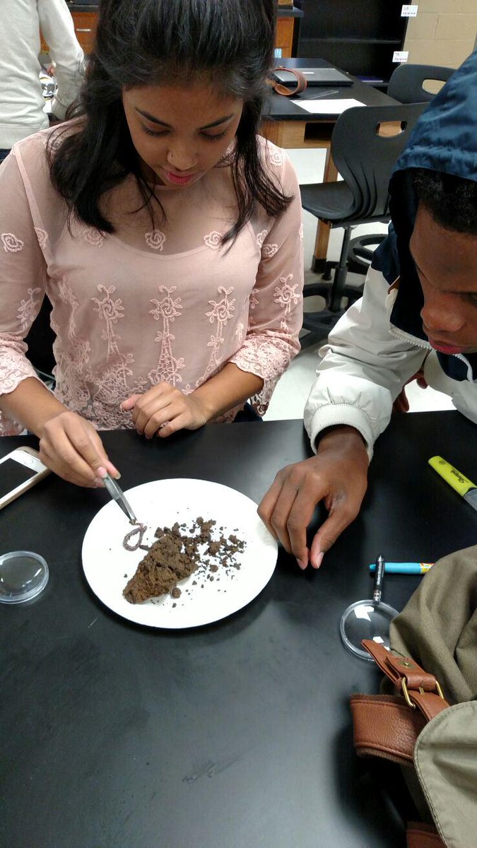 overton_ffa's tweet photo. Discovering soil macroorganisms in Plant Science today. http://t.co/8kI8Sn3AqJ
