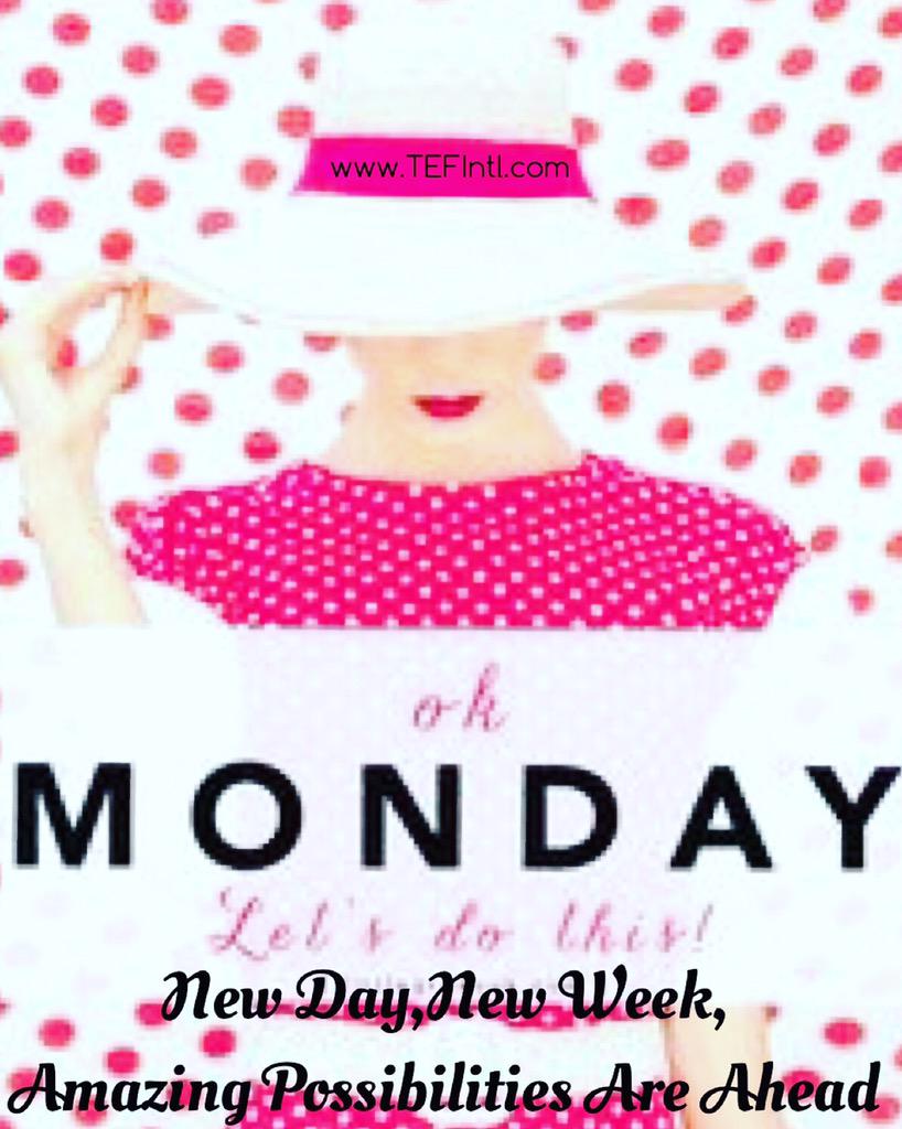 FeDomenech's tweet photo. Happy Monday Everyone here's wishing a productive & positive week 😊🌹 #monday #motivation #TEFIntl #FloralsByFe http://t.co/uq6zhYt0uQ