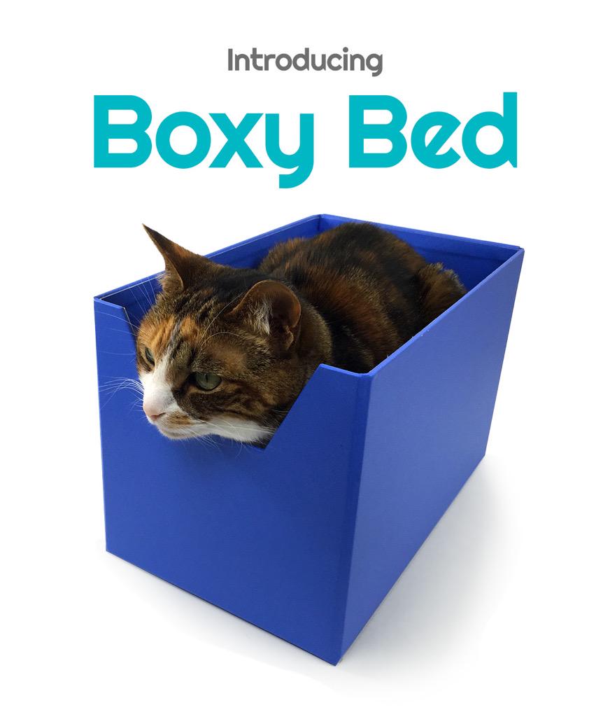 boxybed's tweet photo. Attention #cat lovers: Boxy Bed just launched on #Kickstarter! Check it out now: http://t.co/jRBdWGtEz7 #Cats http://t.co/GjLDmyqbuW