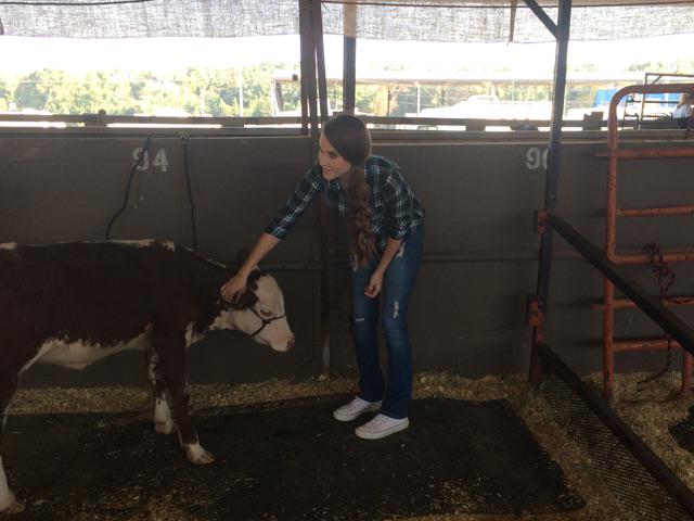 BadgerAcademy's tweet photo. Badger Academy students visit the White 
County Fair.. http://t.co/9LcUNoIzo5