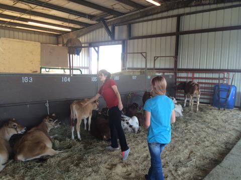 BadgerAcademy's tweet photo. Badger Academy students visit the White 
County Fair.. http://t.co/9LcUNoIzo5