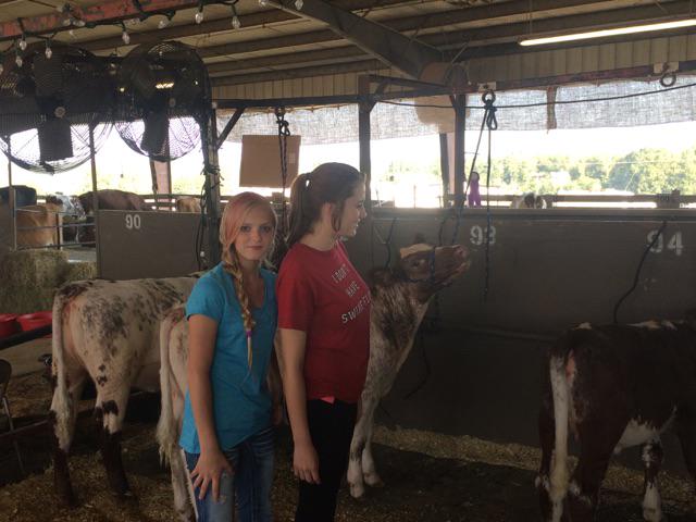 BadgerAcademy's tweet photo. Badger Academy students visit the White 
County Fair.. http://t.co/9LcUNoIzo5