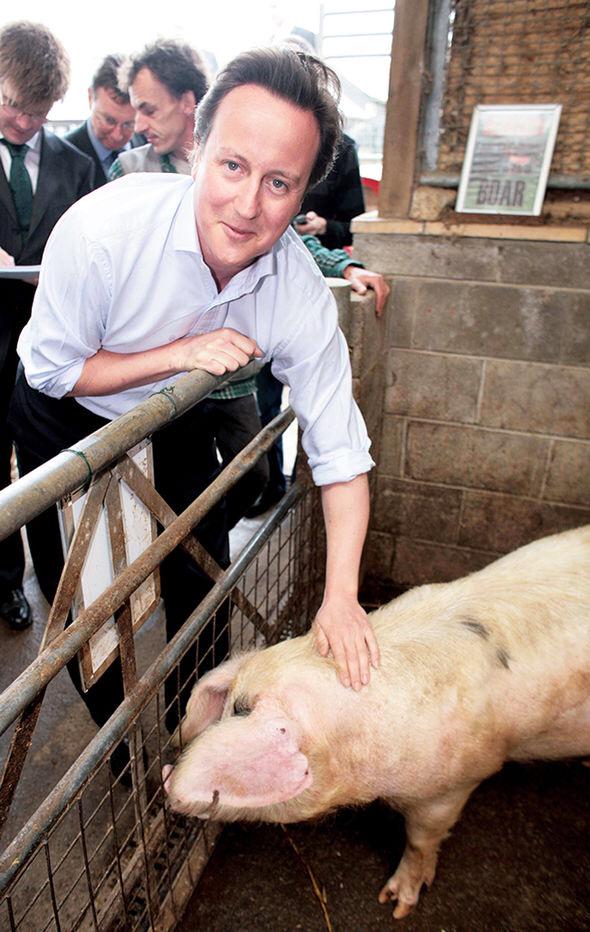 Nigel_UKIP's tweet photo. "That'll do pig, that'll do" #Hameron #baeofpigs #PigGate http://t.co/7KjtveQlk9