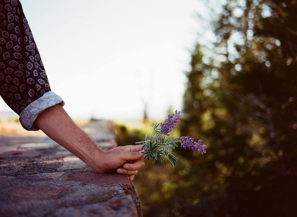 DSMfreelancer's tweet photo. @stu_patterson and his flowers. http://t.co/dq2I8qXOgq http://t.co/fTPVa8nTQw