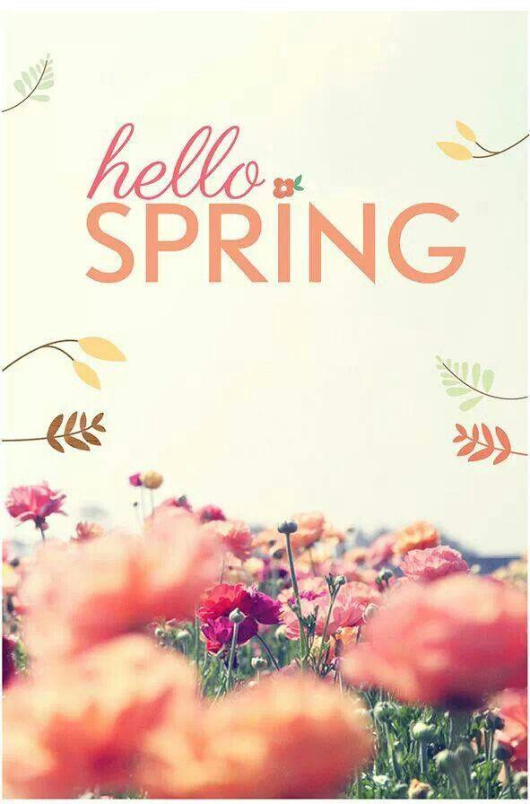 BoutiqueKENDRA's tweet photo. Iniciamos nuestra última semana de 50% OFF y damos la bienvenida a la #Primavera!! @BoutiqueKENDRA. http://t.co/omTQv6c2MN