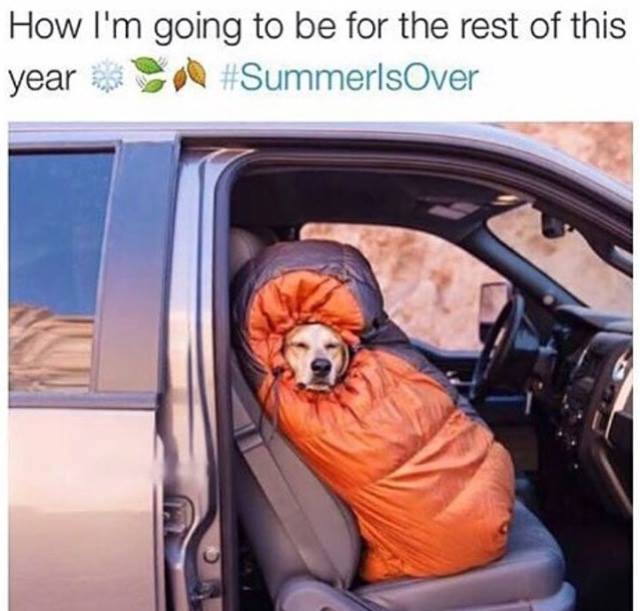 country89_1's tweet photo. Morning friends!! Wow it got cold Saturday and started today off on a chilly note #SummerisOver #TimetoBundleUp http://t.co/4tUYZs2Pun