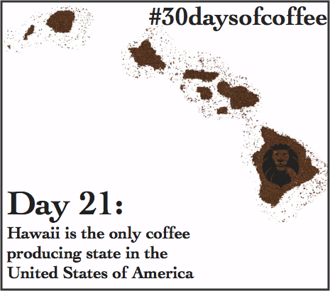 RoyalCup's tweet photo. #30daysofcoffee Day 21: Hawaiian coffee is called Kona coffee &amp; it's one of the rarer &amp; more expensive coffees around http://t.co/miOyHRUuUl