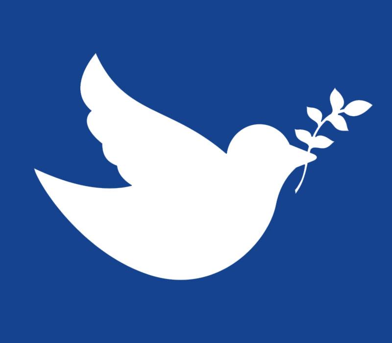 TWorldAngels tweet picture