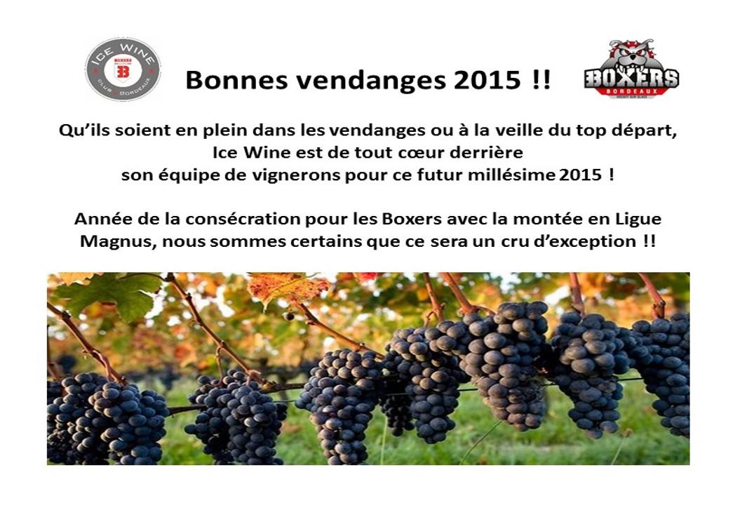 IceWineByBoxers's tweet photo. Bon courage à nos partenaires vignerons pour ces vendanges 2015! http://t.co/SZCqyQTlN7
