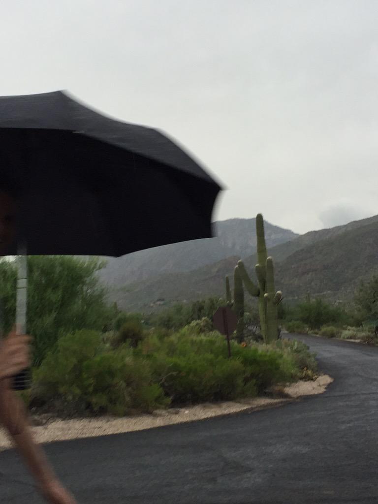totallytucson's tweet photo. Breaking out the umbrellas. #heavydrizzle @SabinoCanyonAZ #Tucson http://t.co/PUwXVgA5WF