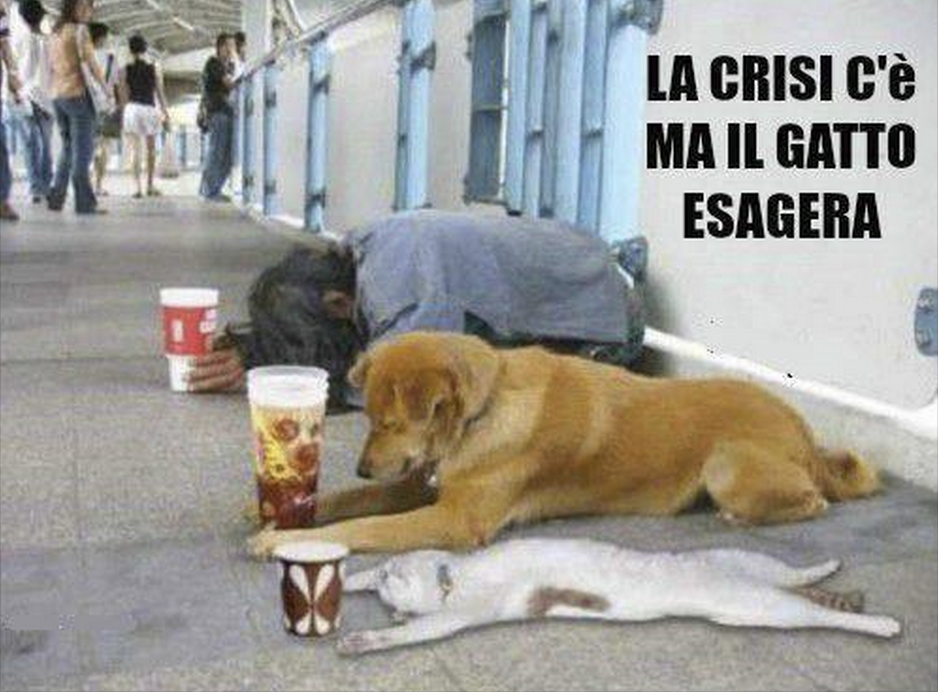 CLAB2013's tweet photo. La crisi c'è ... http://t.co/ZhlhZwX04q