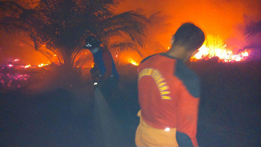 MbahPoerwo's tweet photo. "@Sutopo_BNPB: Hingga malam tim terus padamkan api di Rantau Baru, Pelalawan Riau. http://t.co/81C9JKUXMO"