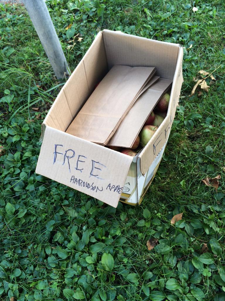 Apples left at the street corner for neighbors. Gotta love the warm-hearted Minneapolis people. Happy fall, everyone!