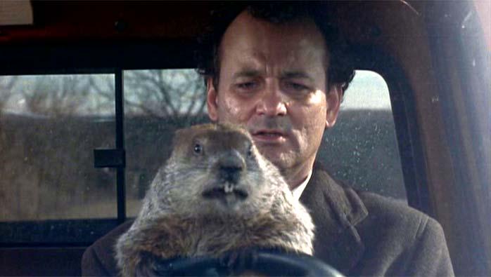 BillMurrayFest's tweet photo. Happy birthday, Bill. http://t.co/WUIy4IWRJl