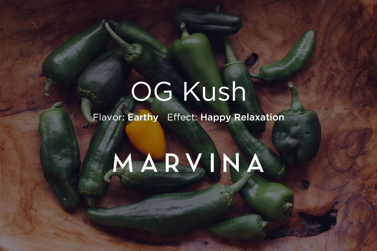 GoMarvina's tweet photo. OG Kush - "Smell starts out very earthy, with a tangy green pepper note appearing after the buds are ground." http://t.co/DSaMzqCWO1