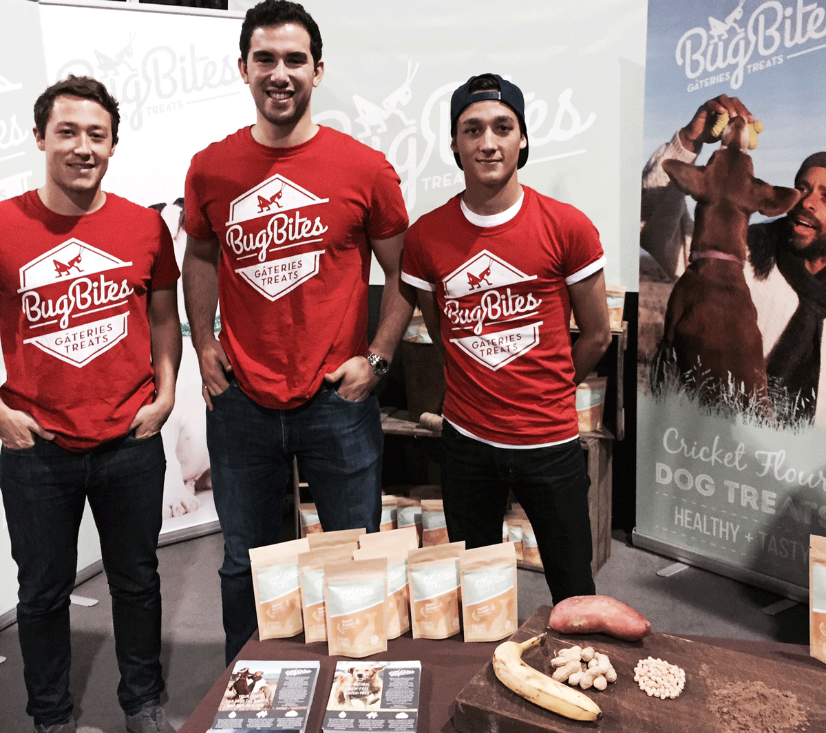 ModernDogMag's tweet image. A new dog treat made from cricket flour? It's a thing! #bugs #yum #seriously #dogsloveit #protein @PijacCanada