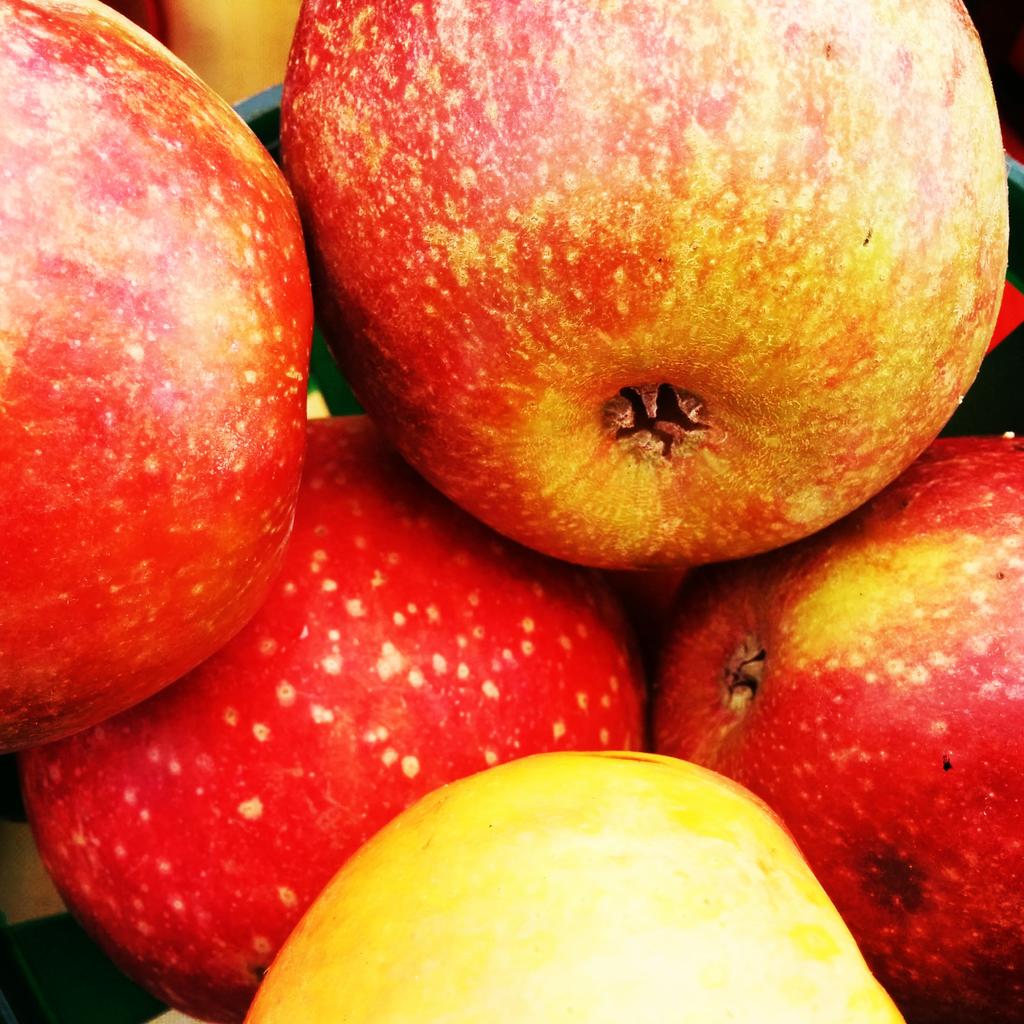 TRFM14's tweet photo. I can't believe this is our last Saturday Market 9/26!!! Hug a farmer day!! See you there:) http://t.co/yqRIc1g3I0