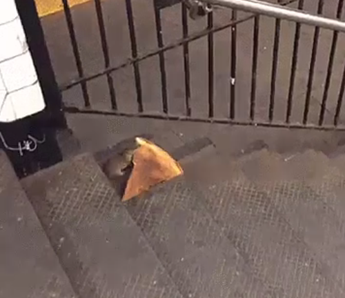 BuzzFeed's tweet photo. WE ARE ALL #PIZZARAT http://t.co/iLbVB0fSHX