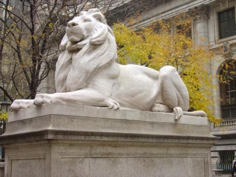 OCU_Library's tweet image. The New York City Public Library has lions, but here at Dulaney-Browne we have...toads!