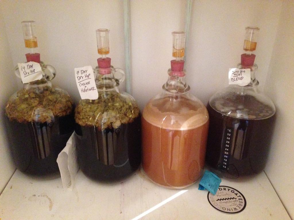 budskidaddler's tweet photo. #WhatsBrewing L2R: #IPA 14 day dry hop (4hops), 7 day dry hop (2hops), Amber wheat #US04, IPA/saison blend w/#Brett http://t.co/9awXx9wLrz