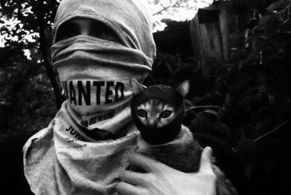 _schwarzeKatze's tweet photo. Cops haben Hunde, wir haben Katzen #catcontent #riotcat http://t.co/oSOoC1XvuS