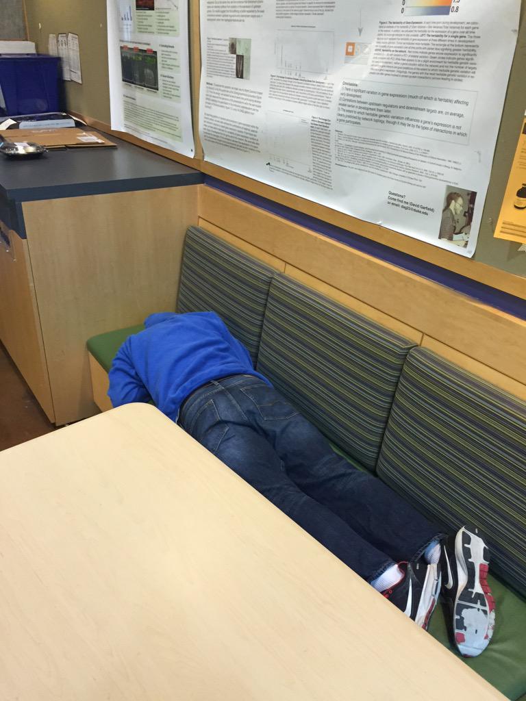 ColleenDrapek's tweet image. Let the war with the #undergrads begin #nonapping #tightsarenotpants @ErinSparksPhD @krlehner