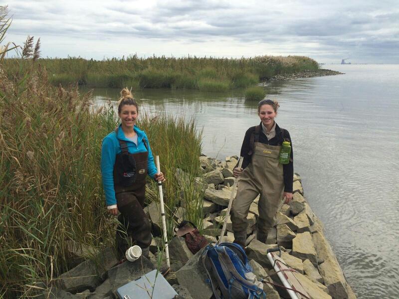 DelawareEstuary's tweet photo. Today we're in #NJ w/ @amec_fw assessing tidal #wetland health. #EstuaryScience #CleanWaterRules #SovereignConsulting http://t.co/ghchxCHSdQ