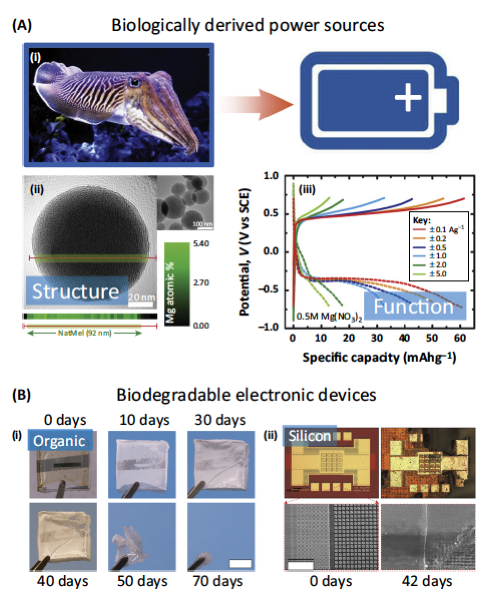 EricTopol's tweet photo. Great review on ingestible biosensors http://t.co/Oi0yxuJgQZ @TrendsinBiotech by @ChrisBettinger http://t.co/jbVLVbATL0