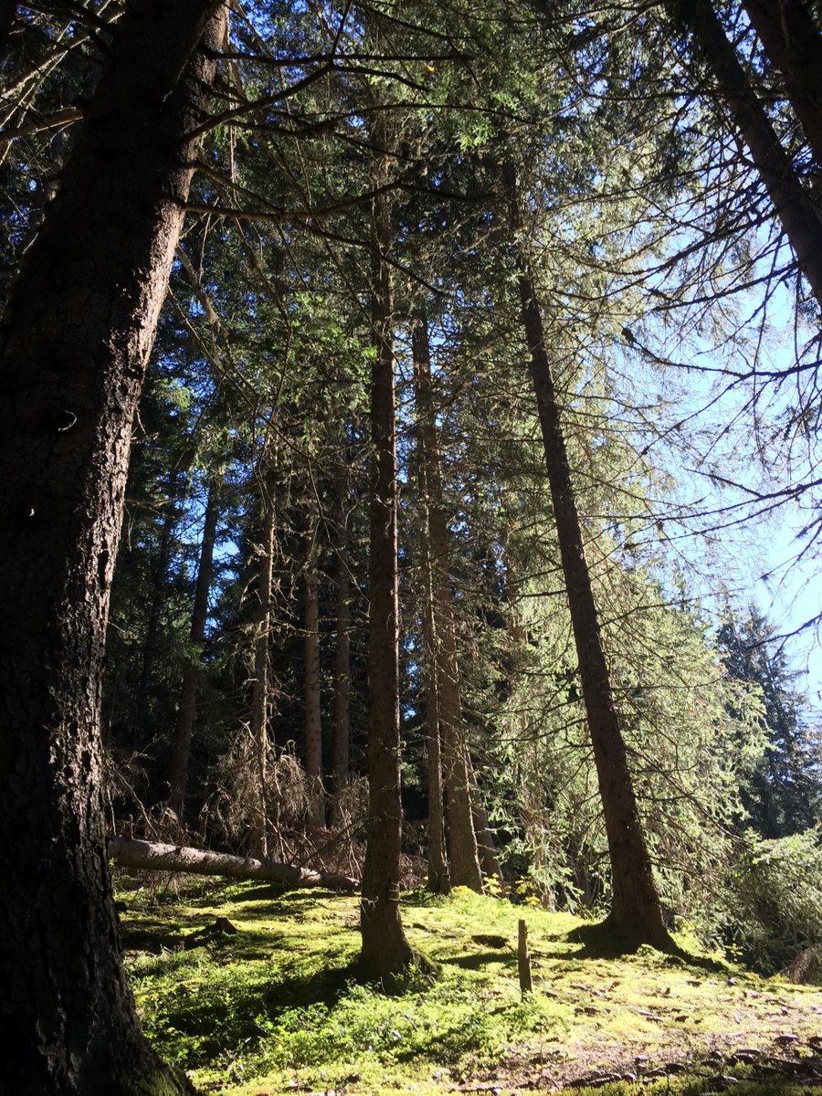 hotelmegeve's tweet photo. Enjoying the beautiful weather at #cote2000 #Autumn #Megeve staying @hotelmegeve open until end October. http://t.co/Yw1l3iDDZa
