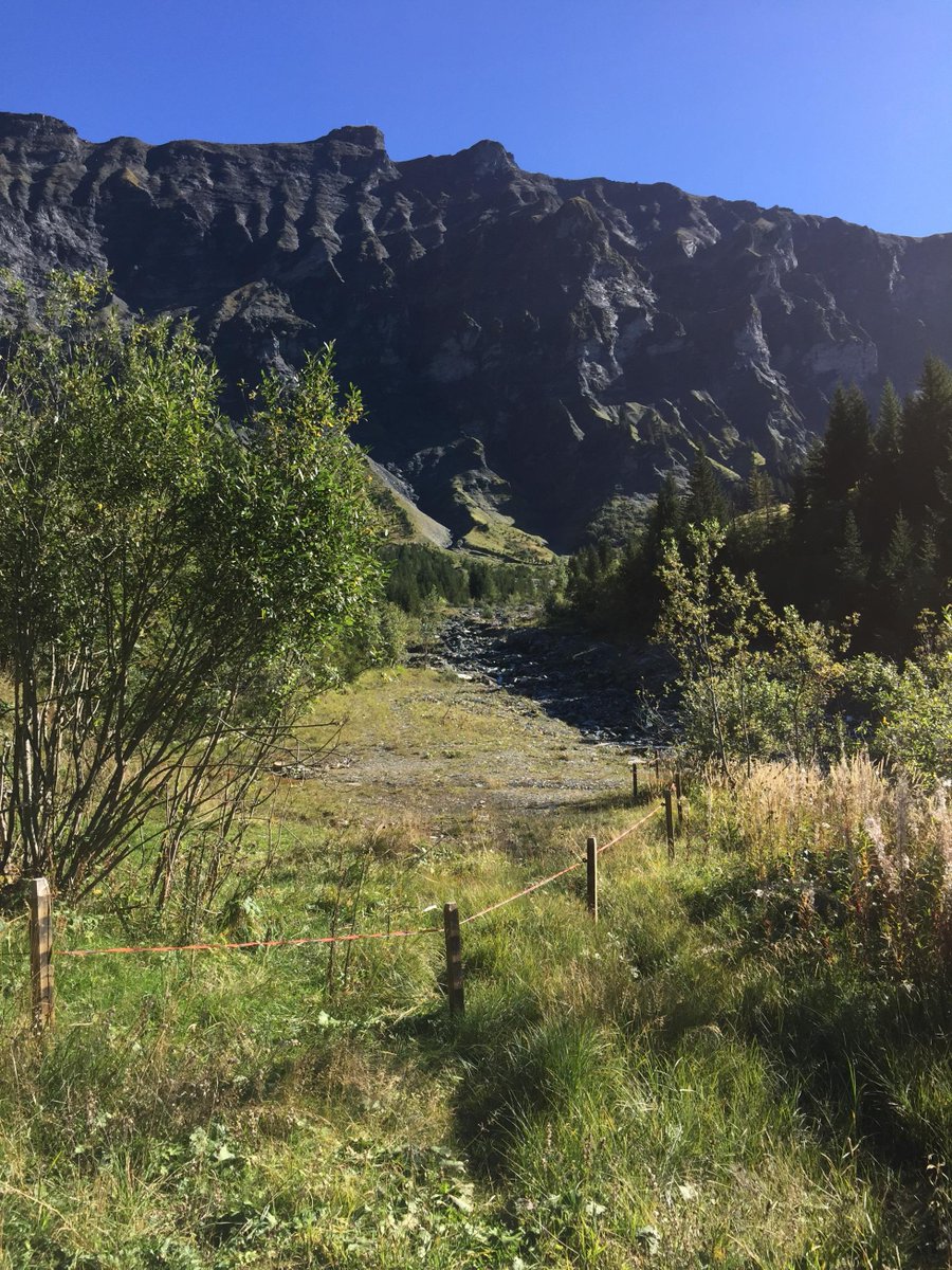 hotelmegeve's tweet photo. Enjoying the beautiful weather at #cote2000 #Autumn #Megeve staying @hotelmegeve open until end October. http://t.co/Yw1l3iDDZa