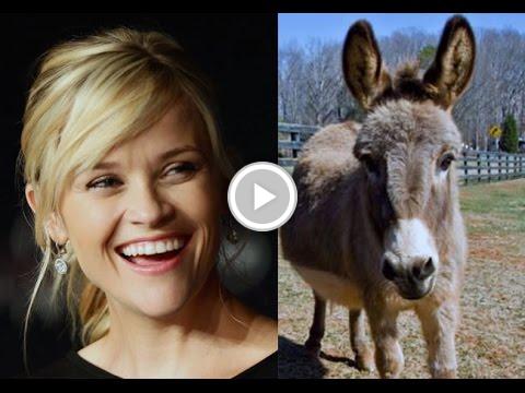 Home_Values_'s tweet image. Top 10 Celebrities crazy Pets vid.staged.com/eiOq #SD realestate #real estate bea