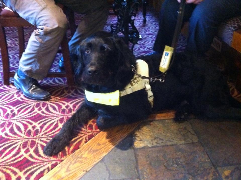 Bankhouseinn's tweet image. We are dog friendly Horace came to see us on Saturday #supportguidedogs #dogs #dogfriendly #pudsey