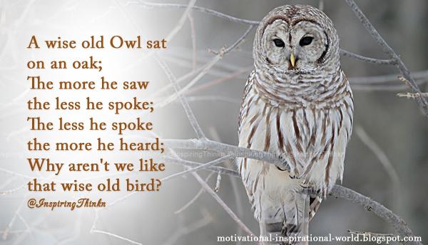 InspiringThinkn's tweet image. A wise old Owl sat on an oak; The more he saw the less he spoke; ....  Anonymous