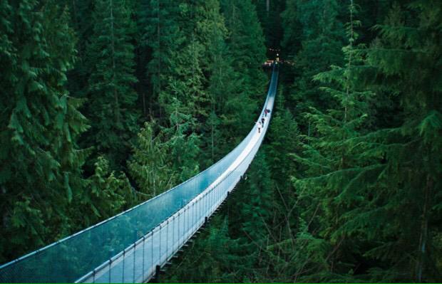 CompellingPics's tweet photo. Capilano Suspension Bridge, Vancouver, British Columbia http://t.co/IjomRsPOMm
