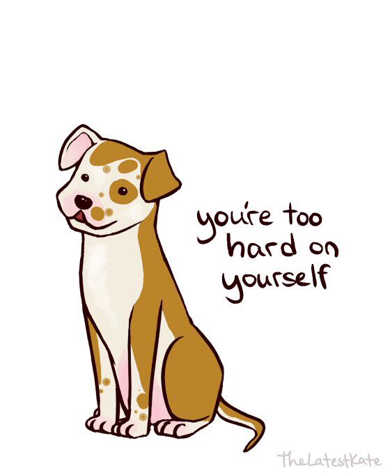 A positive dog for your Monday viewing pleasure. tumblr.co/StYL4