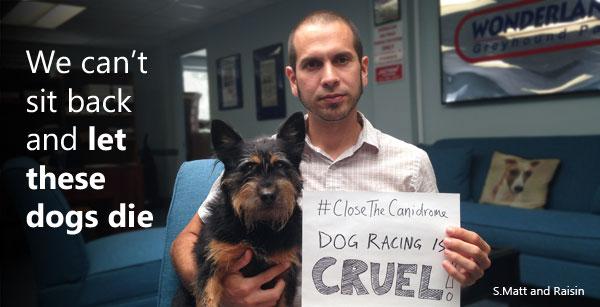 We can’t sit back and let these dogs die
grey2kusa.org/eNEWS/G2K-0903…