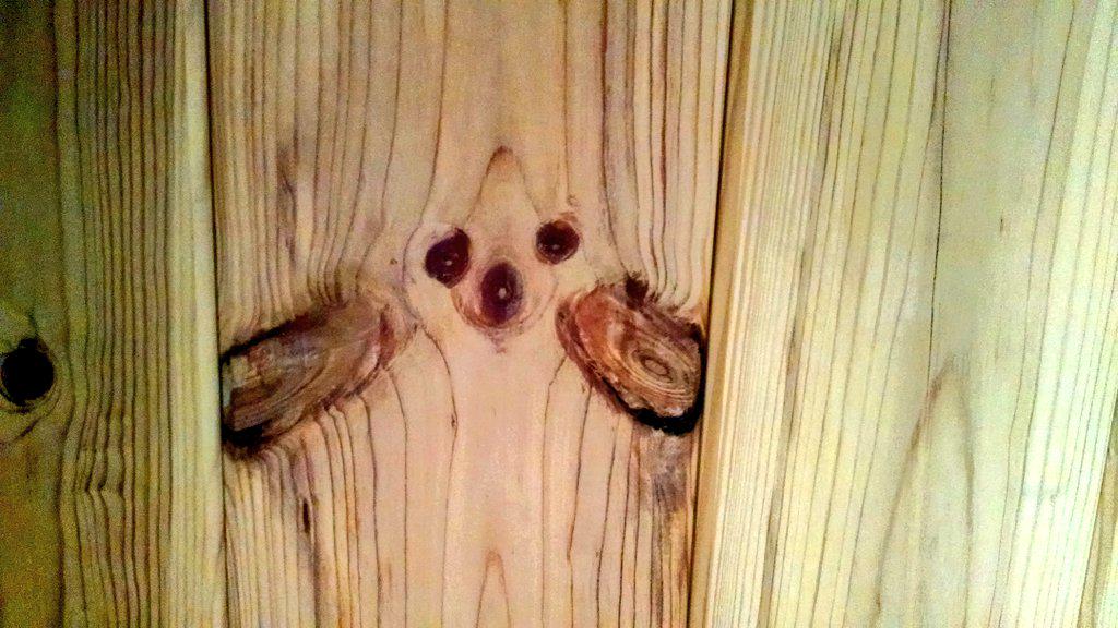 Tim Chilcote tweet media