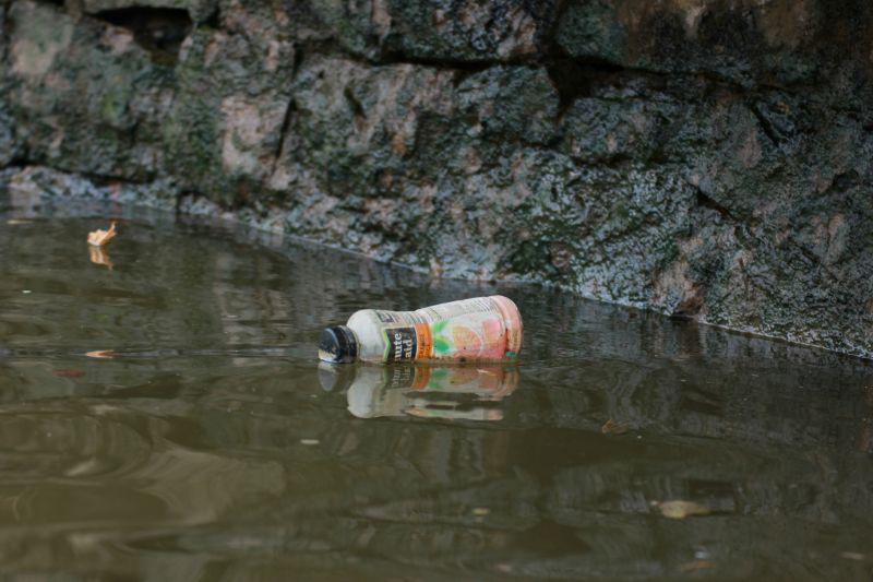 AnacostiaTrust's tweet photo. 50 types of fish, 60 reptiles & amphibians, & 33 mammal species are native to Anacostia. This is not one of them! http://t.co/jPf1BgLfmw