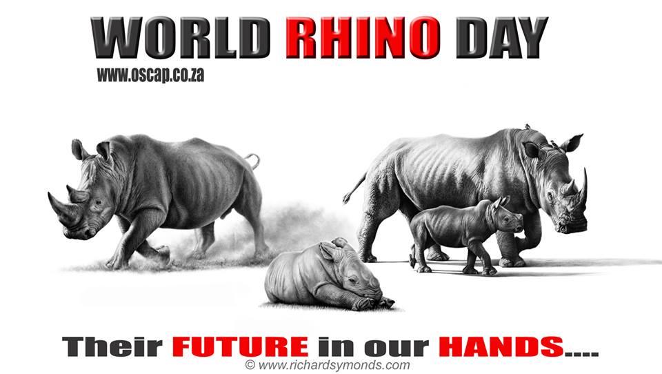 Oscap_'s tweet photo. 22 September is World Rhino Day #stopkillingourRHINOS! #killthetrade http://t.co/s0a9cCNnZj