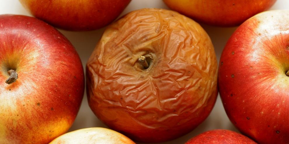 SaborTheSims's tweet image. Aprenda como os germes chegam a sua comida e como evitar esse tipo de contaminação! bit.ly/sts-higiene