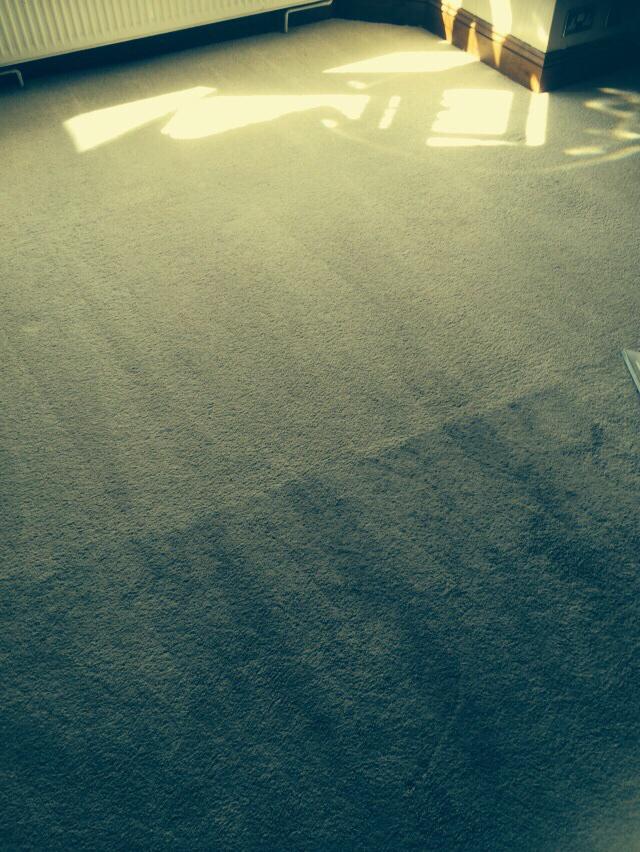 CarpetGbs's tweet photo. https://t.co/XRtA1AVof7 get your free quote today