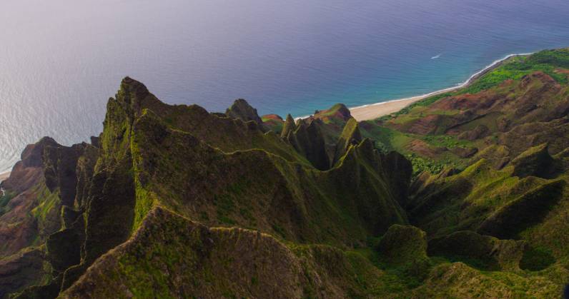 ainafeeds's tweet photo. Stay on top of what's current at the Hawaii Department of Agriculture: http://t.co/qp46yY8OKy http://t.co/ssYQ8tWY9O