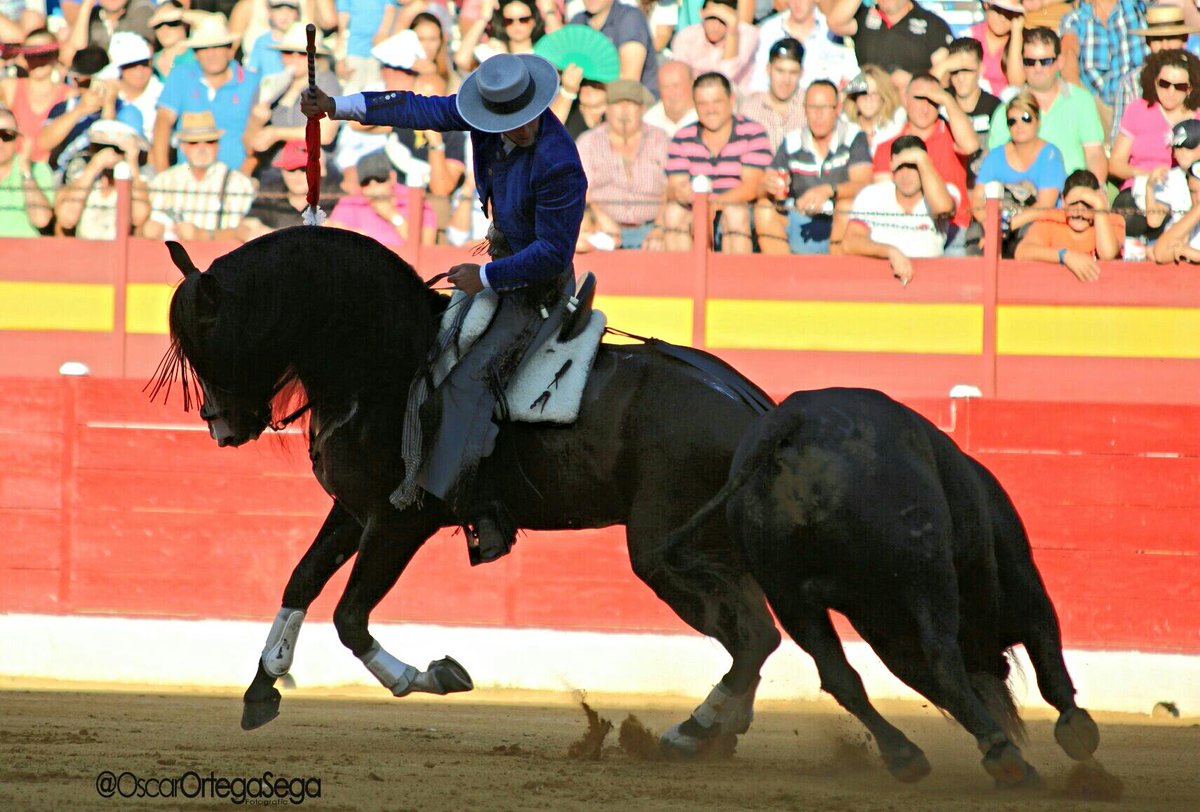 Andy_Cartagena's tweet photo. #Mediterráneo #Gorrión #Soro y #Pericalvo http://t.co/dcyPJ8SGHn