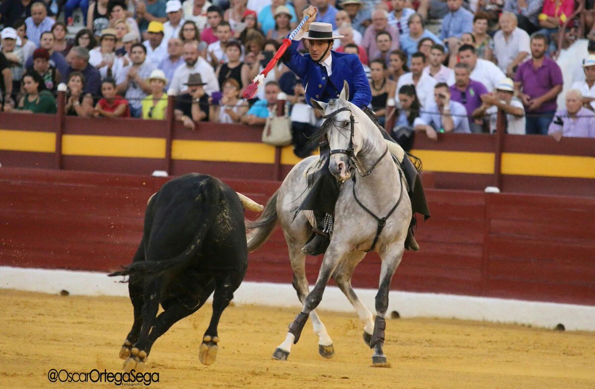 Andy_Cartagena's tweet photo. #Mediterráneo #Gorrión #Soro y #Pericalvo http://t.co/dcyPJ8SGHn