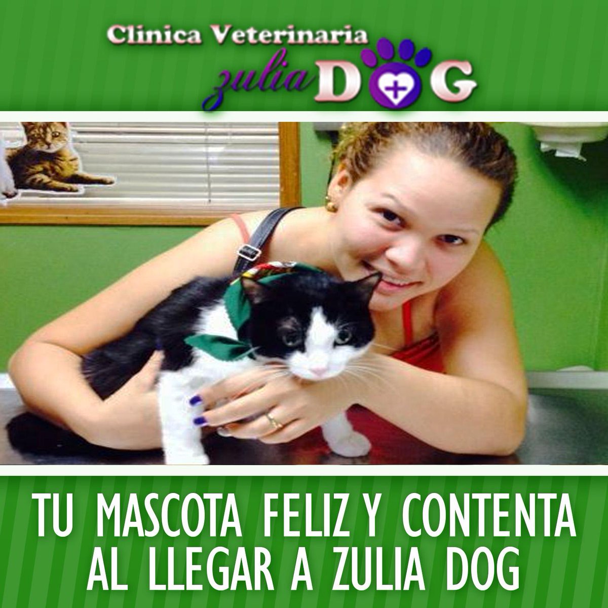 ZuliaDog's tweet image. En Zulia Dog siempre estamos dispuestos a ayudar y atender a tu mascota tal y como se lo merece. 

¡¡Visítanos ya!!