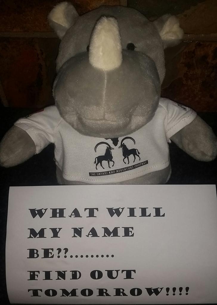 InyamazanSa's tweet photo. #nonamerhino will be named tomorrow!! Excitement!!!!! @InyamazanSa @stephgrondpad @melnaar http://t.co/7nJZJNfs0P