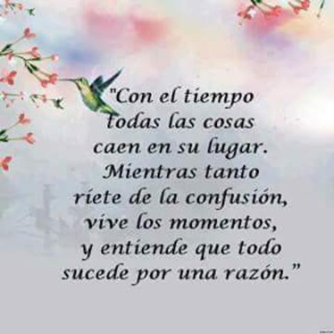 azch95 tweet picture