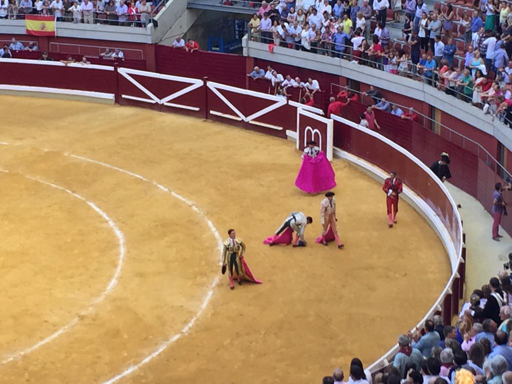 G3Santamaria's tweet photo. Piel de gallina señores! 3 orejas de @urdialesweb y Puerta Grande en Logroño! gritos de torero torero en el tendido! http://t.co/0C2KxqYBQE