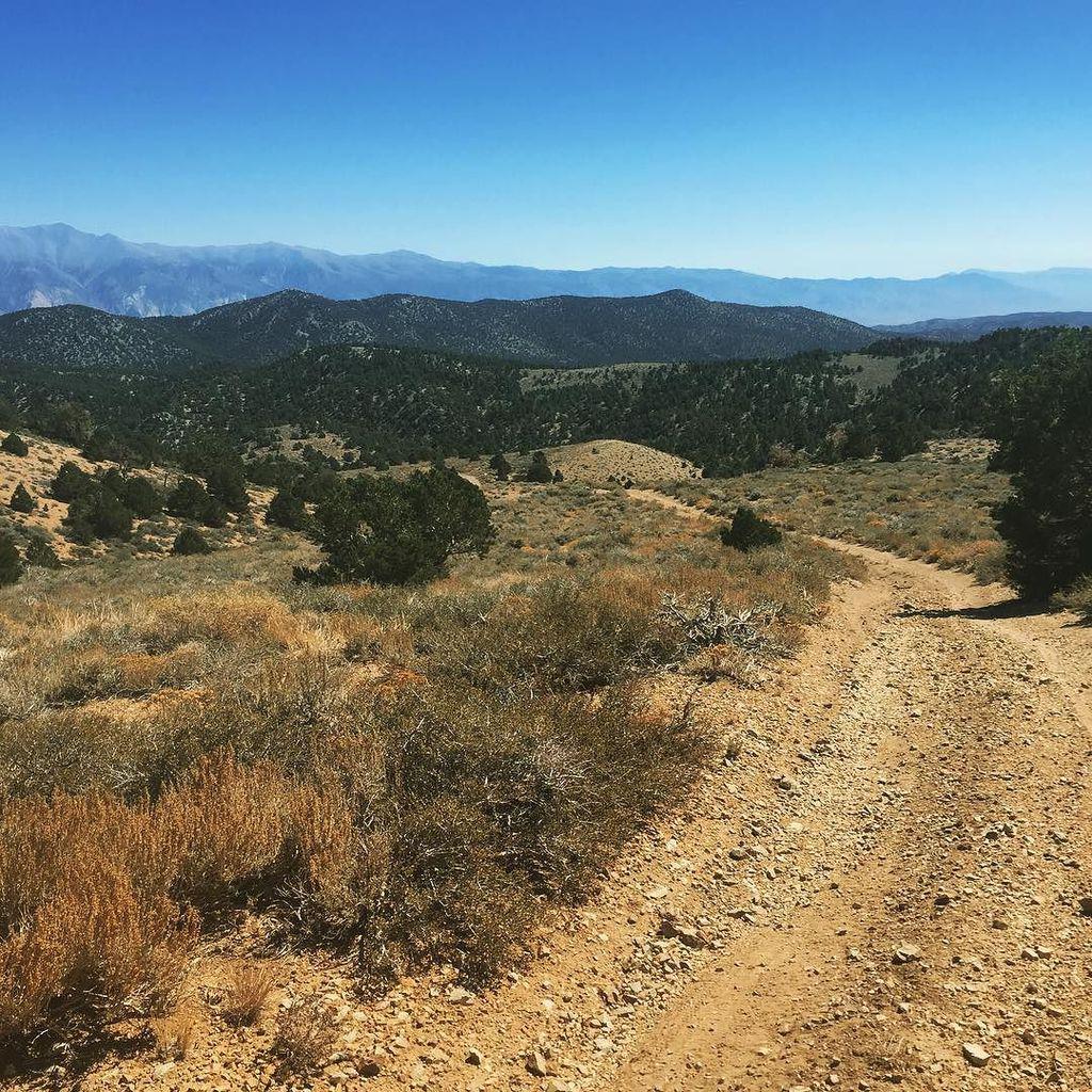 weBikepacking's tweet photo. rosevillecyclery / Easter sierras. #caldera500 #bikepacking #mountainbikelife #easternsierras #adventurecycling #Glโฆ http://t.co/E9If1Hpkf3