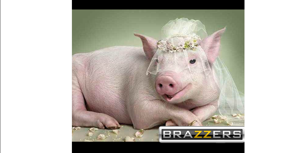 DailyParody tweet picture